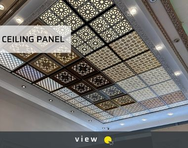 Ceiling Panel